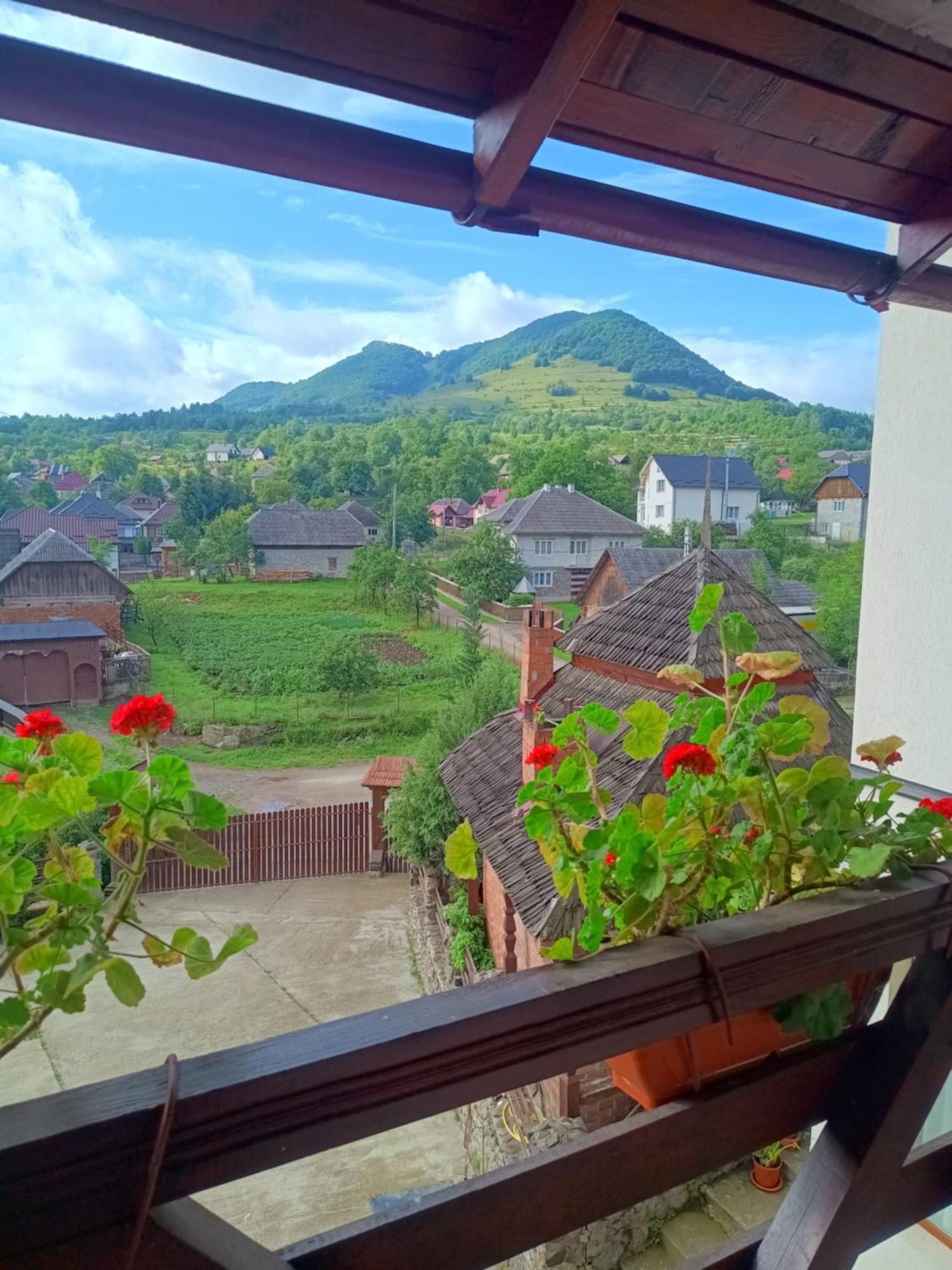 Pensiunea In Poiana Glod (Maramures) Exterior foto