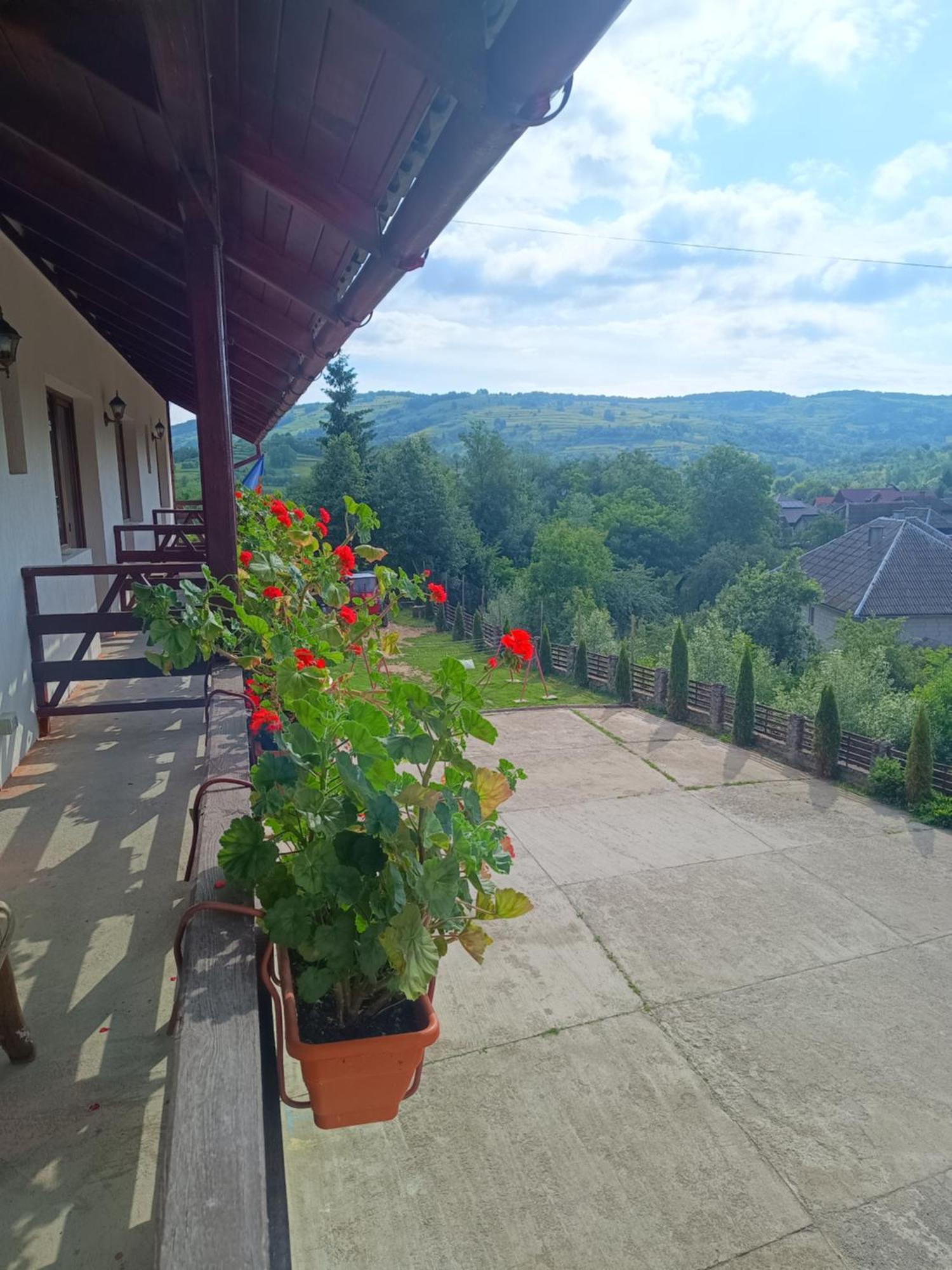 Pensiunea In Poiana Glod (Maramures) Exterior foto