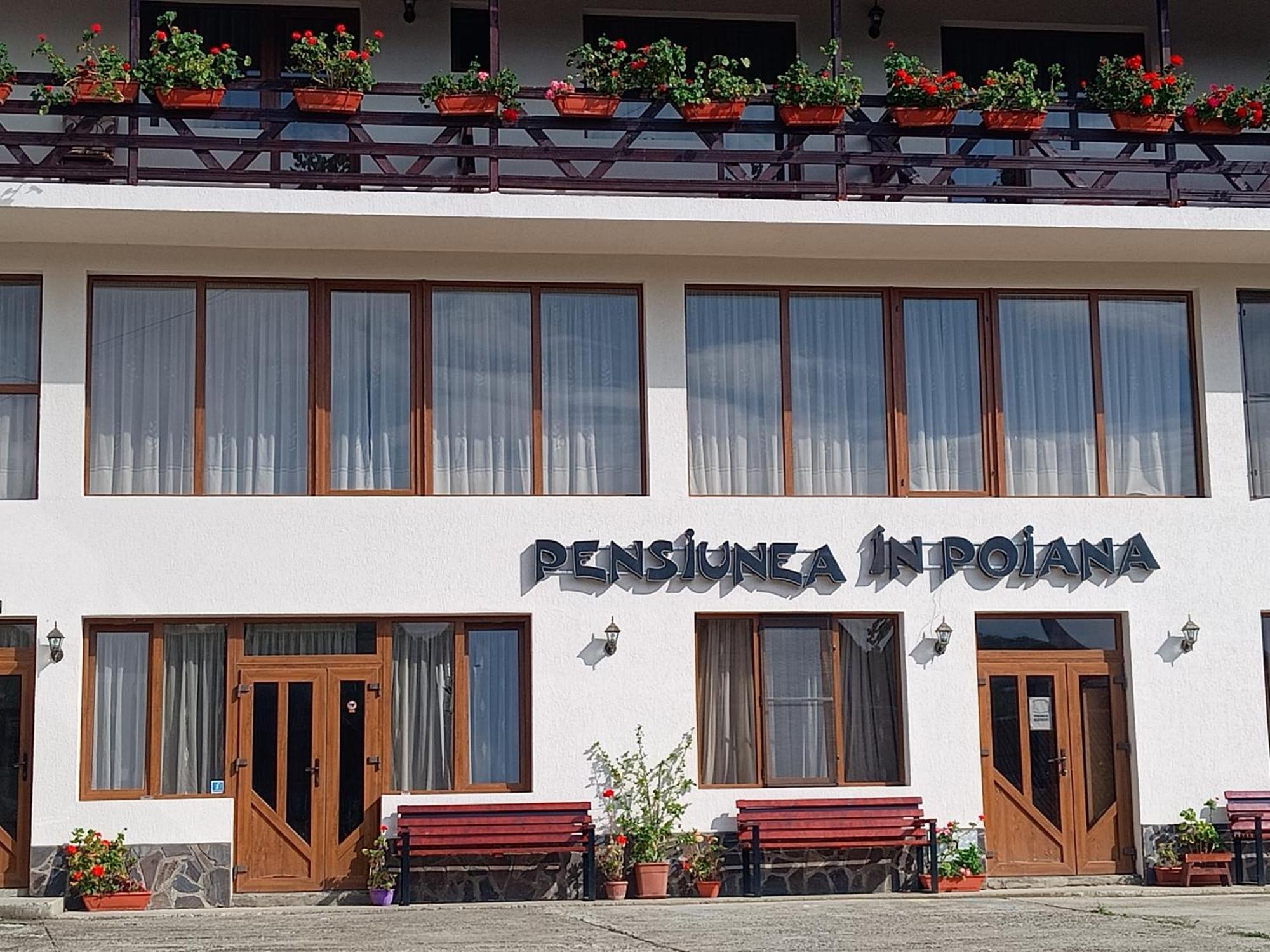 Pensiunea In Poiana Glod (Maramures) Exterior foto
